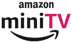 Amazon mini tv logo